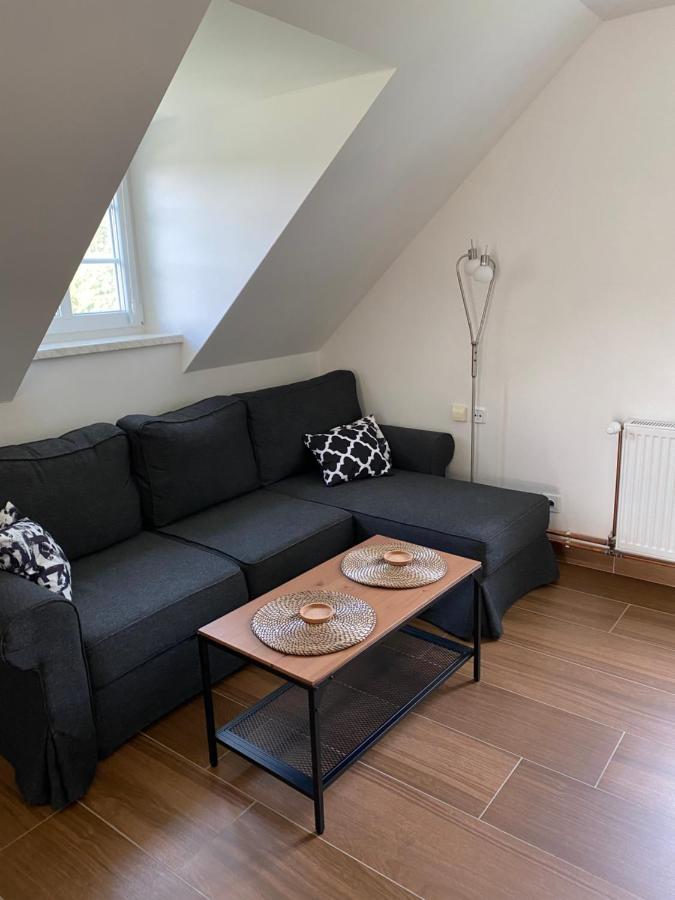 Apartman 430 Destne v Orlickych horach Eksteriør bilde
