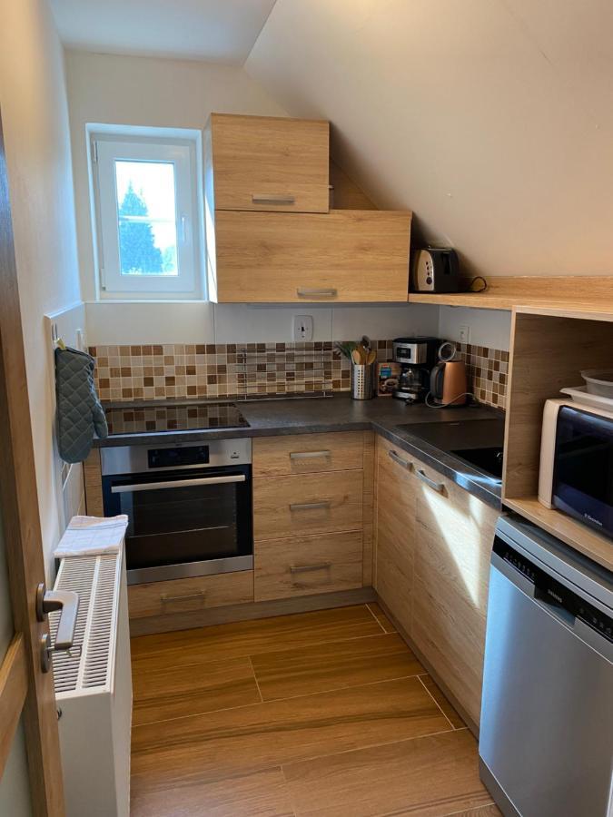 Apartman 430 Destne v Orlickych horach Eksteriør bilde